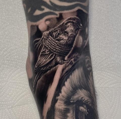 Black & Gray 5